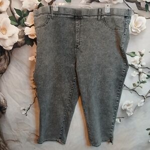 Terra & Sky Charcoal Ankle Jeans